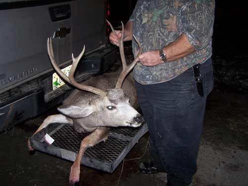 2010 DA deer