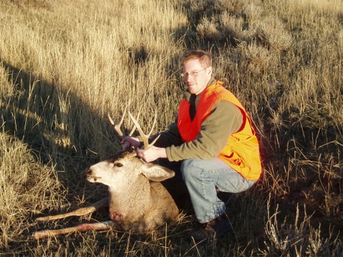 Great muledeer buck